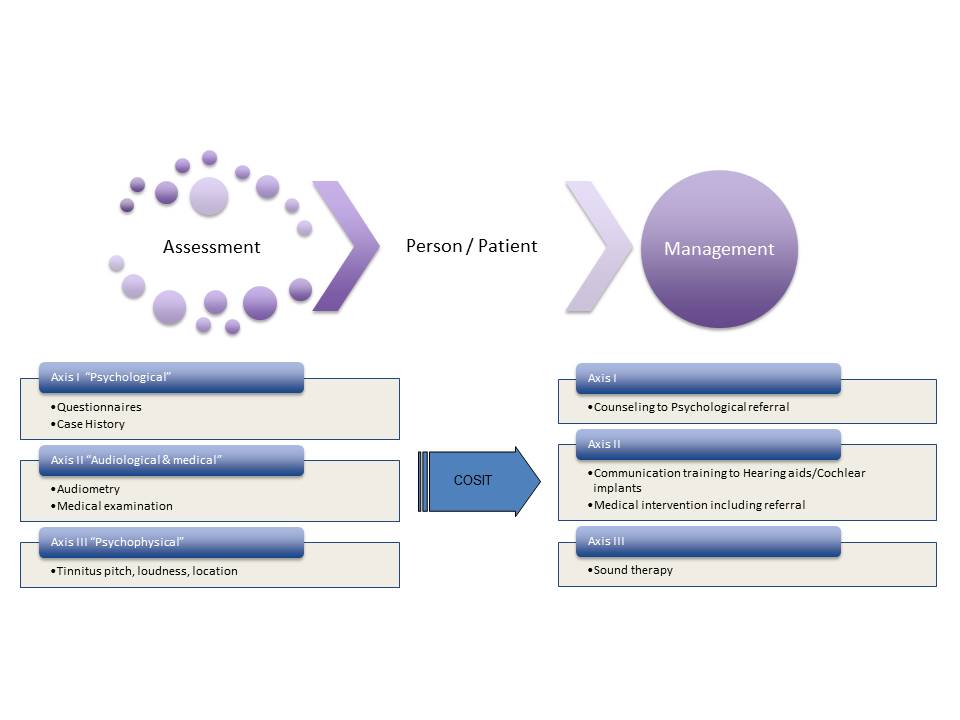 Tinnitus assessment matrix